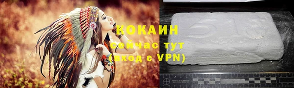 тгк Саяногорск