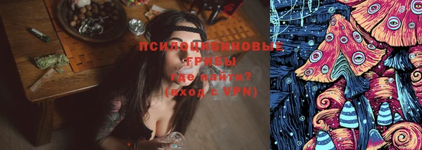 стаф Алексеевка