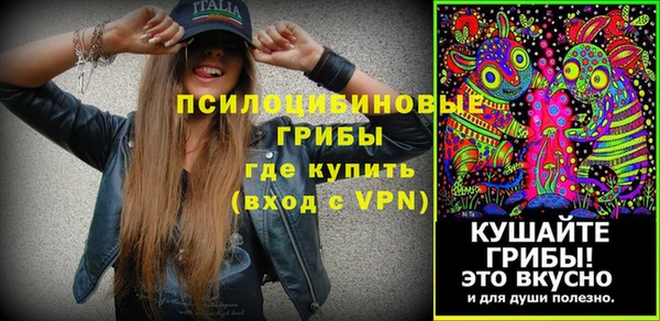стаф Алексеевка